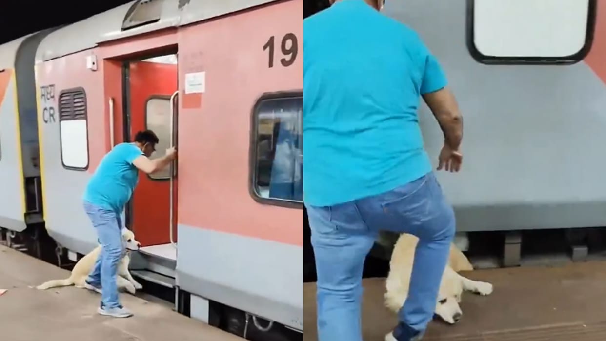 Dog Falls Between Moving Rajdhani Train And Platform As Owner Tries To Board Video Goes Viral