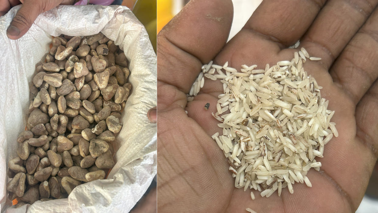 Buckwheat flour is being sold in Gorakhpur after mixing it with bad water chestnut and Tinni rice