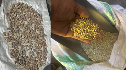 Buckwheat flour is being sold in Gorakhpur after mixing it with bad water chestnut and Tinni rice