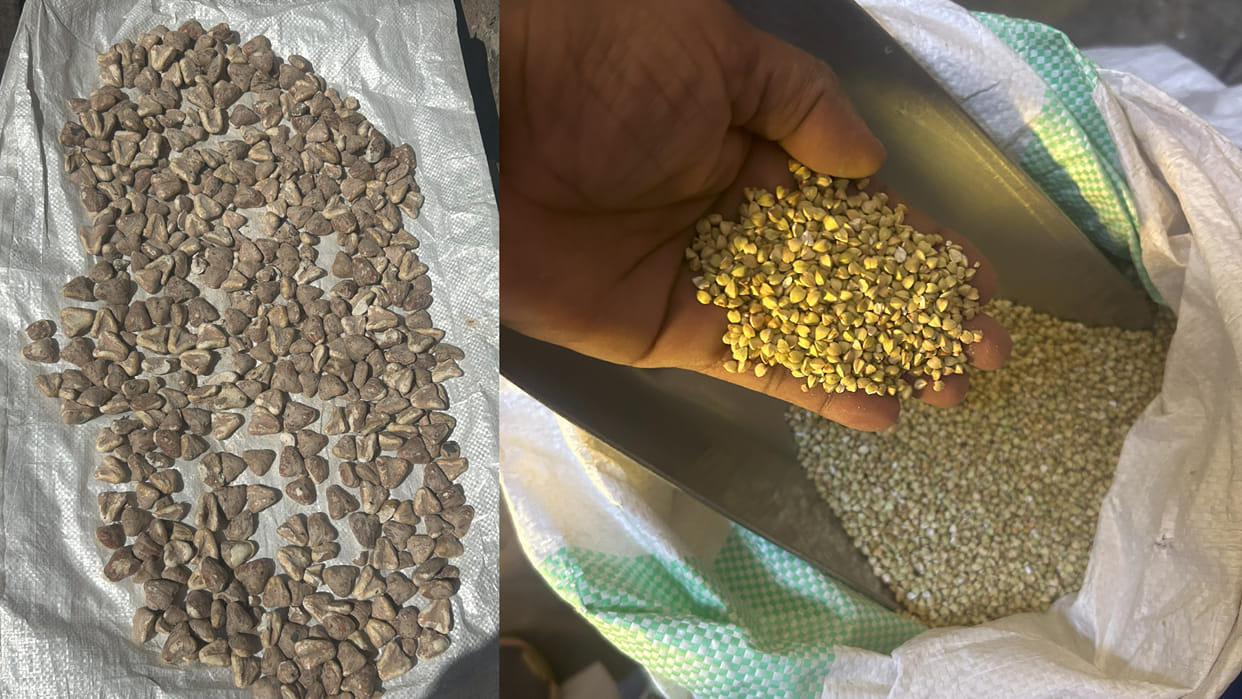 UP: 20,924 kg of adulterated food items seized ahead of Navratri.