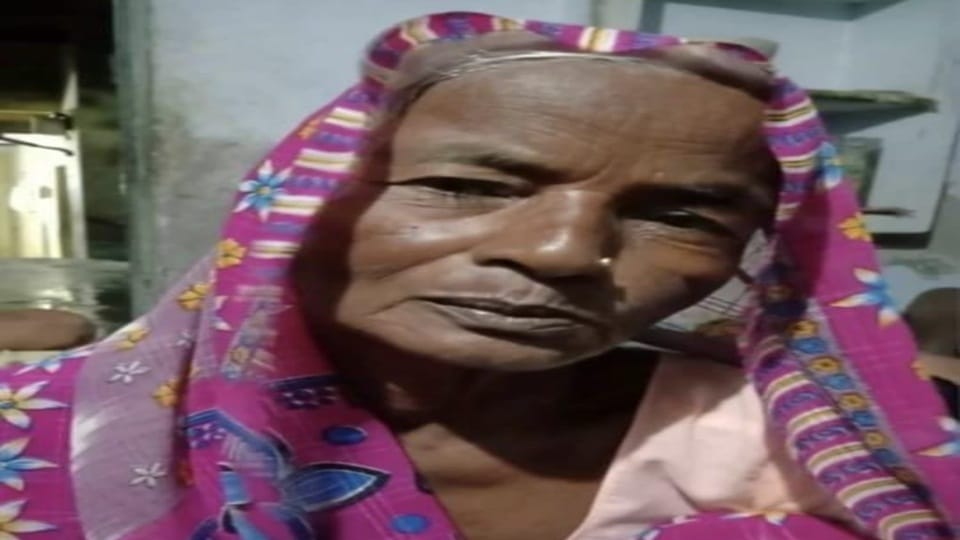 Mother killed by hitting her with a brick for not giving money for alcohol