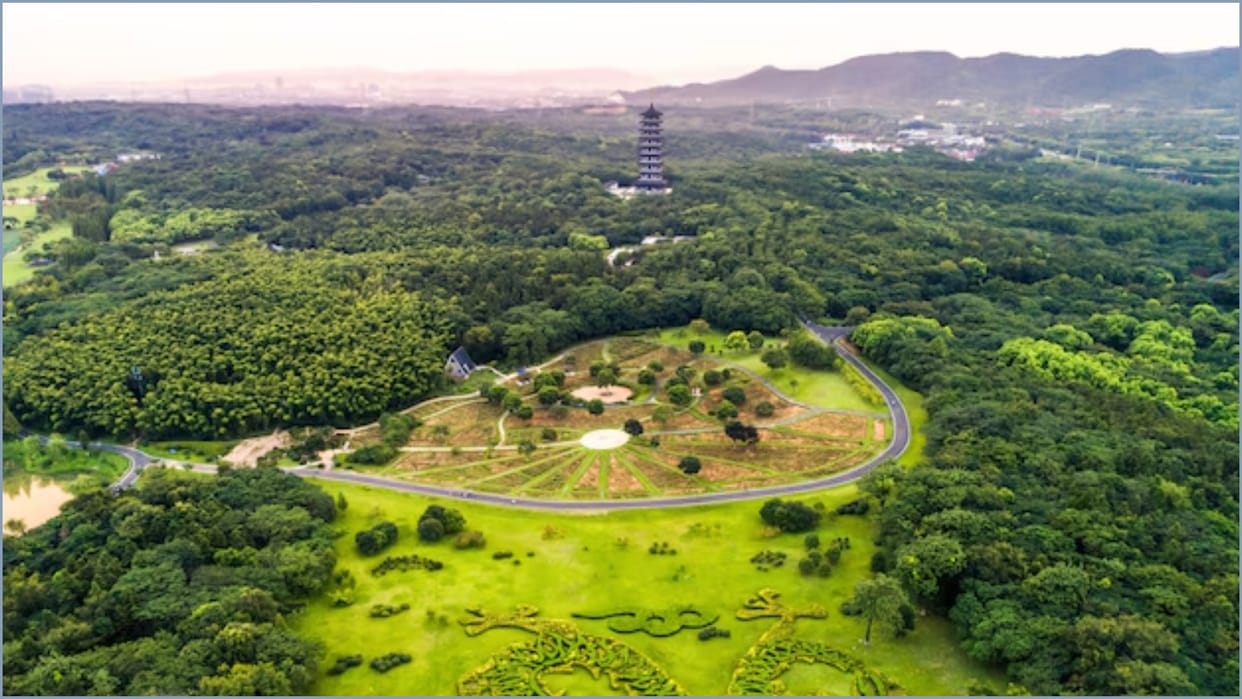 India Forest Reserve: How Much Land Should Be Covered by Trees? Know the Rules