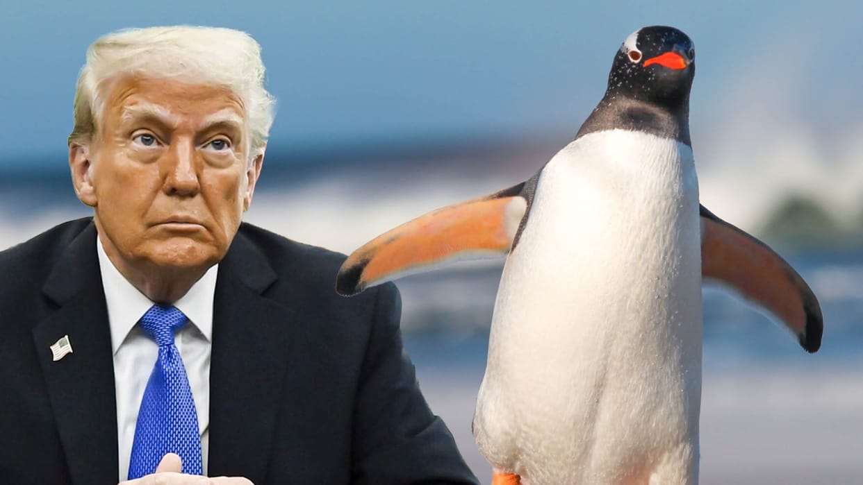 Island home only to penguins hit by tariffs- and other things you may have missed on Liberation Day