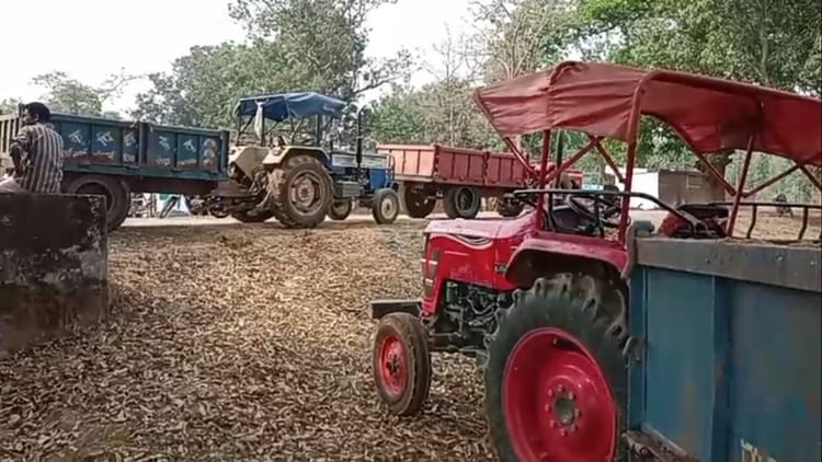 Chhattisgarh: गौरेला पेंड्रा मरवाही में अवैध रेत उत्खनन पर ग्रामीणों का हंगामा, 18 ट्रैक्टर पकड़े; चालक फरार