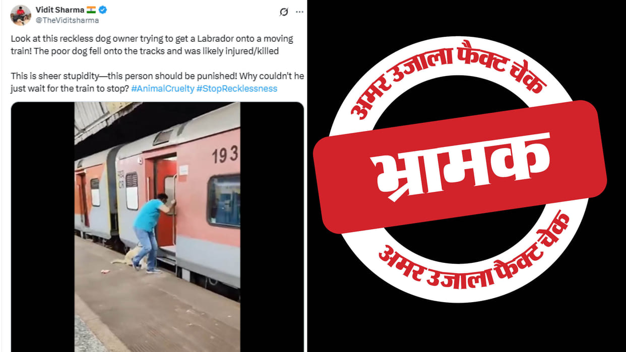 The claim of a dog dying after falling under a train is false