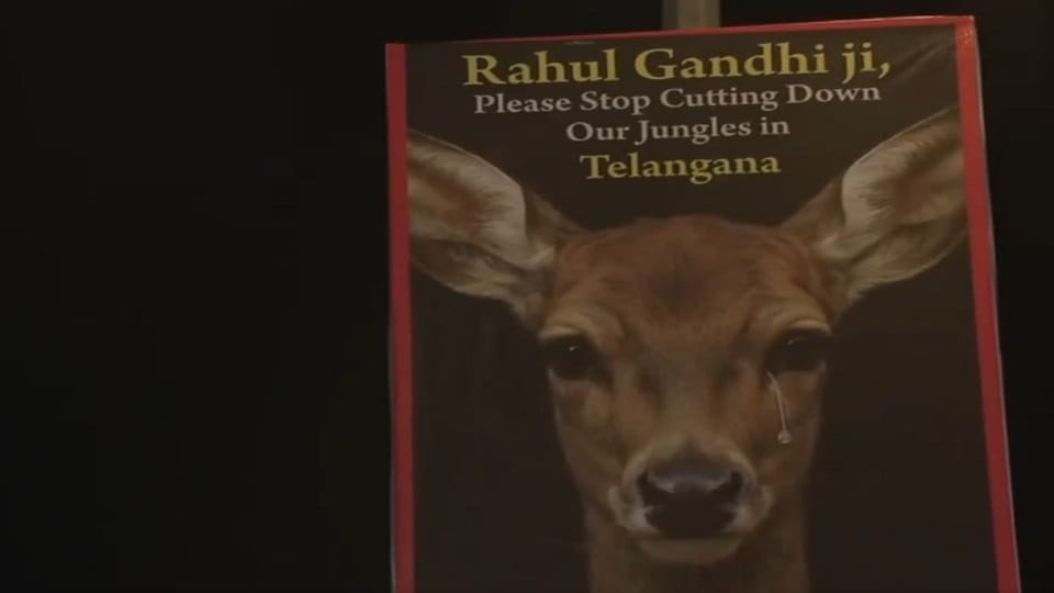 BJP leader put up hoardings in Delhi, wrote - Rahul Gandhi ji stop cutting our forests in Telangana