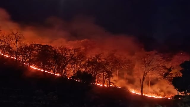 सांकेतिक तस्वीर