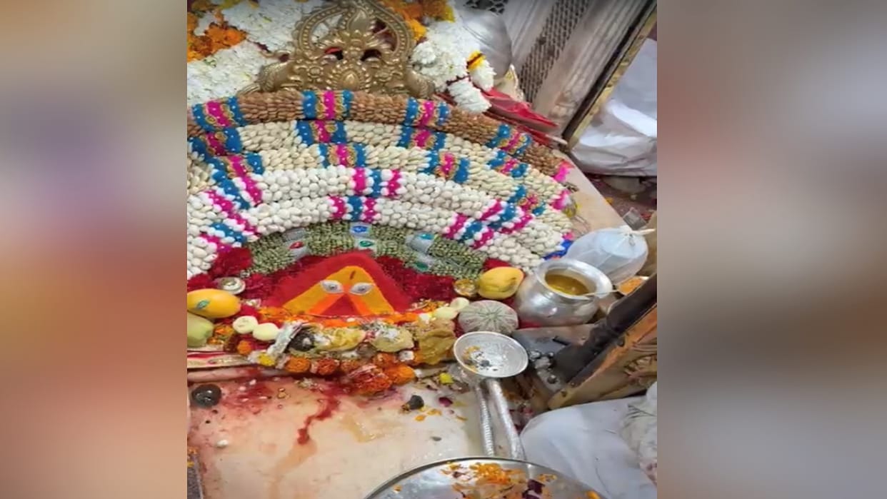 Coconut sacrifice was made on Ashtami in Chintapurni temple, prasad was distributed among the devotees