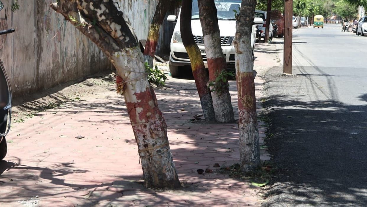 Negligence by Indore Municipal Corporation Leads to Tree Falls and Fatal Accidents