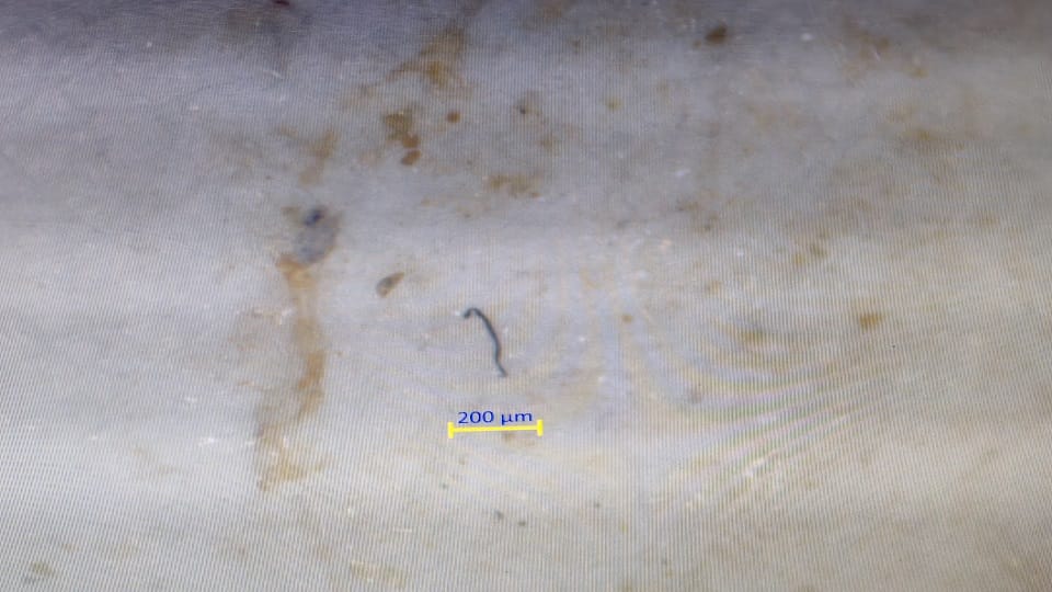 Micro plastic found in rivers in Chiraipani fishery project in champawat