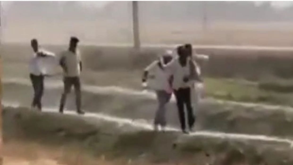 Video of forceful wheat harvesting goes viral