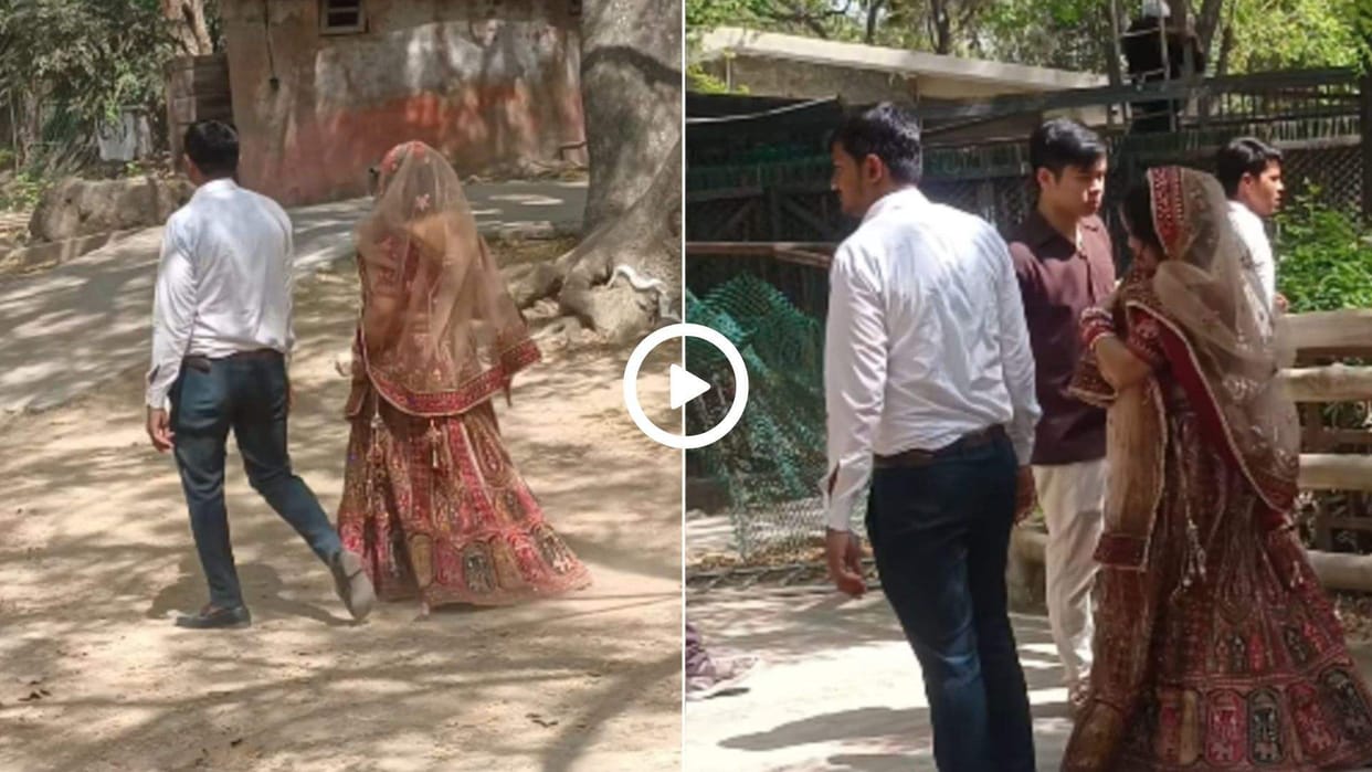 Viral Video woman visit zoo in lehnga gets trolled people say shaadi ke mandap se bhaag kar aayi hai