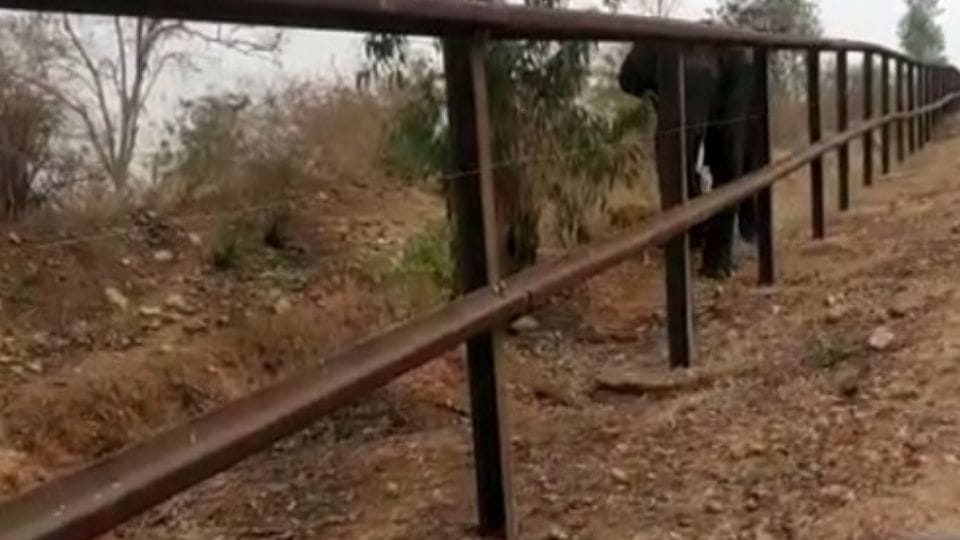 Environmentalists march against relaxation of night traffic ban in Karnataka Bandipur National Park
