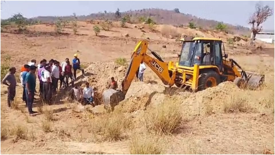 Suspected death of 8 cows in Damua: Bodies found together near farm, suspected to have poisoned