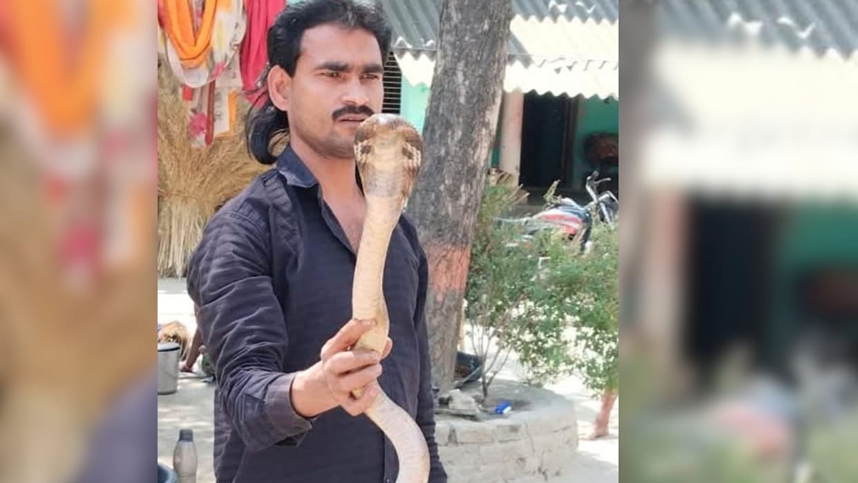 Once he used to catch snakes but became a victim himself barber dies of snakebite