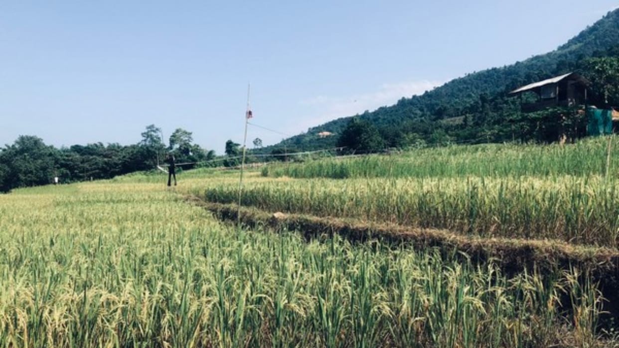Naga tribal chief urges Centre to scrap decision to fence Indo-Myanmar border, News in Hindi