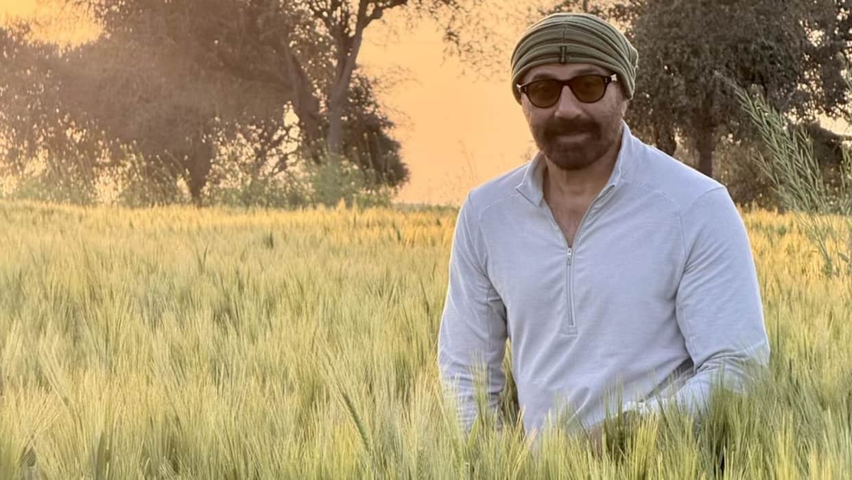 Jaat actor Sunny Deol Highest Grossing Films List Gadar 2 Yamla Pagla Deewana Border