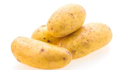 Potato production at Balati Farm Pithoragarh after ten years