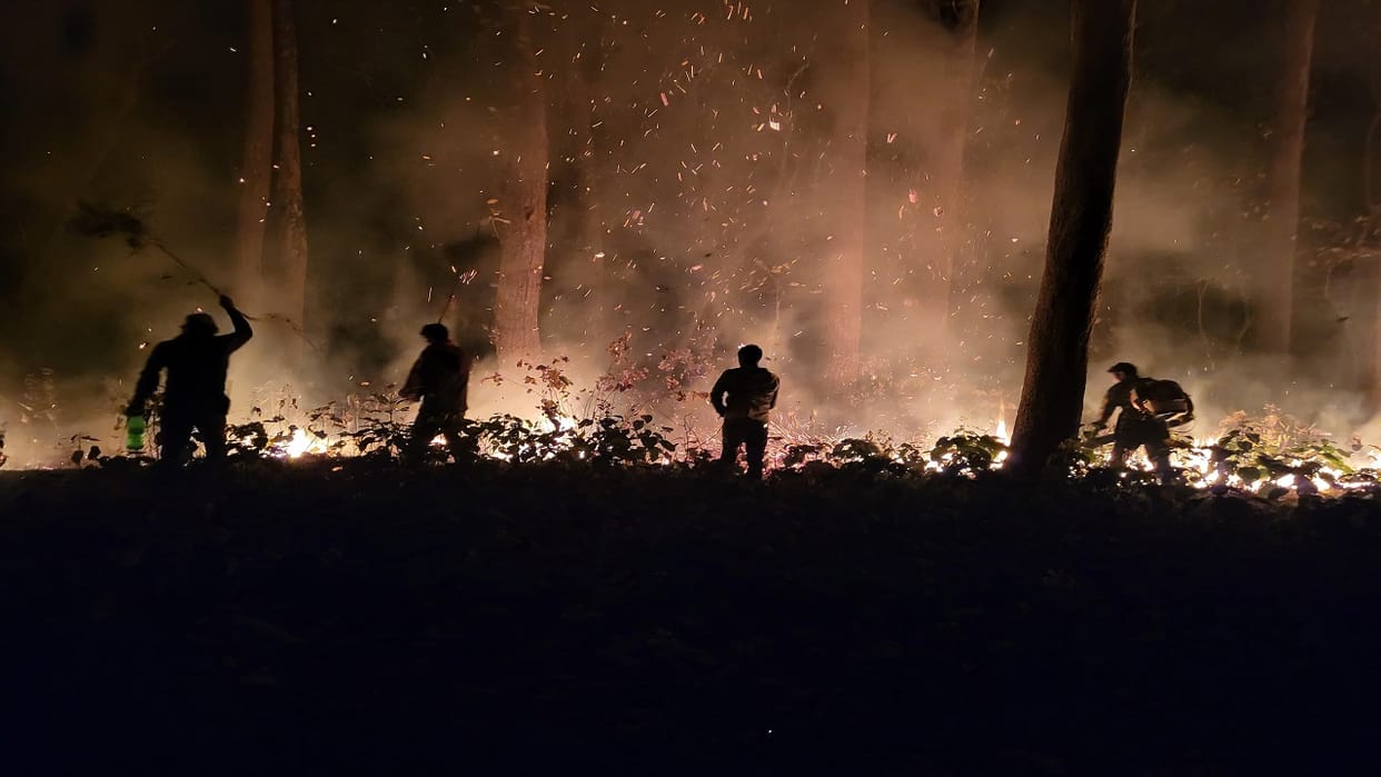 New study published in Science Journal claims incidents of forest fires increased by 54 Percent worldwide