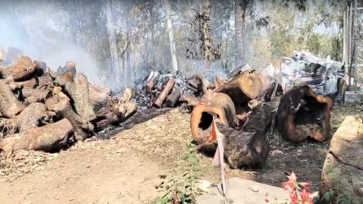 The forest fire also engulfed the wood reserves