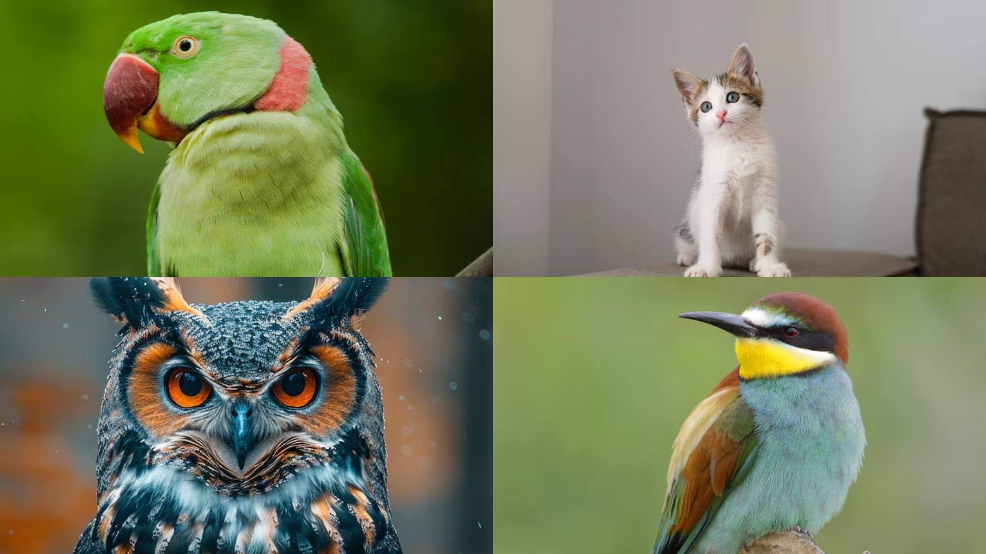 Vastu Tips Which animals and birds are auspicious to come to the house and which are not Know here