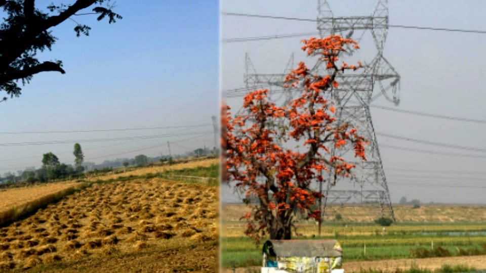 Meerut Weather Today: Weather will change again in West UP including Meerut, chances of storm-rain on 17-18
