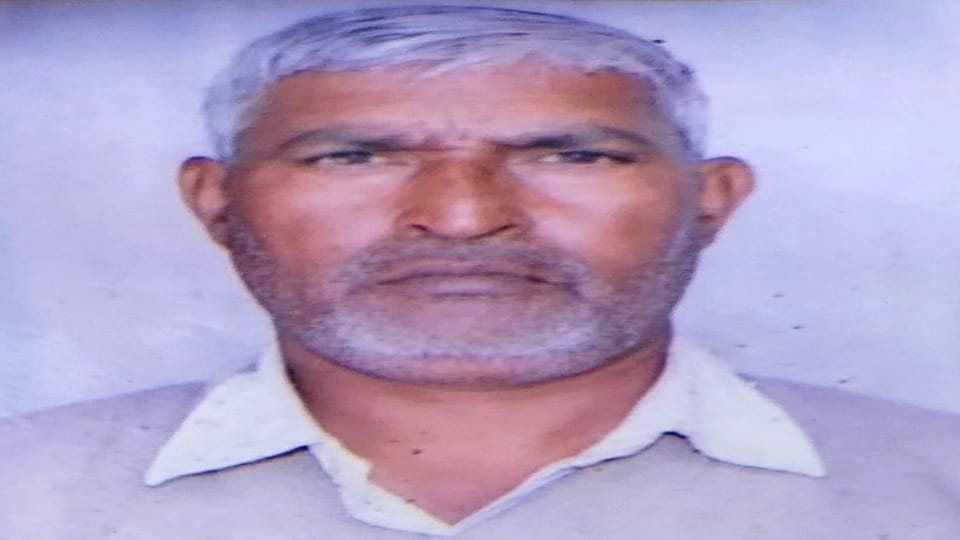 Loader hits tempo, banana trader dies