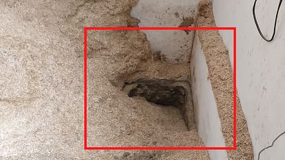 Five crore rupees of embezzled money buried in pits in Baghpat and Shamli, recovered by police