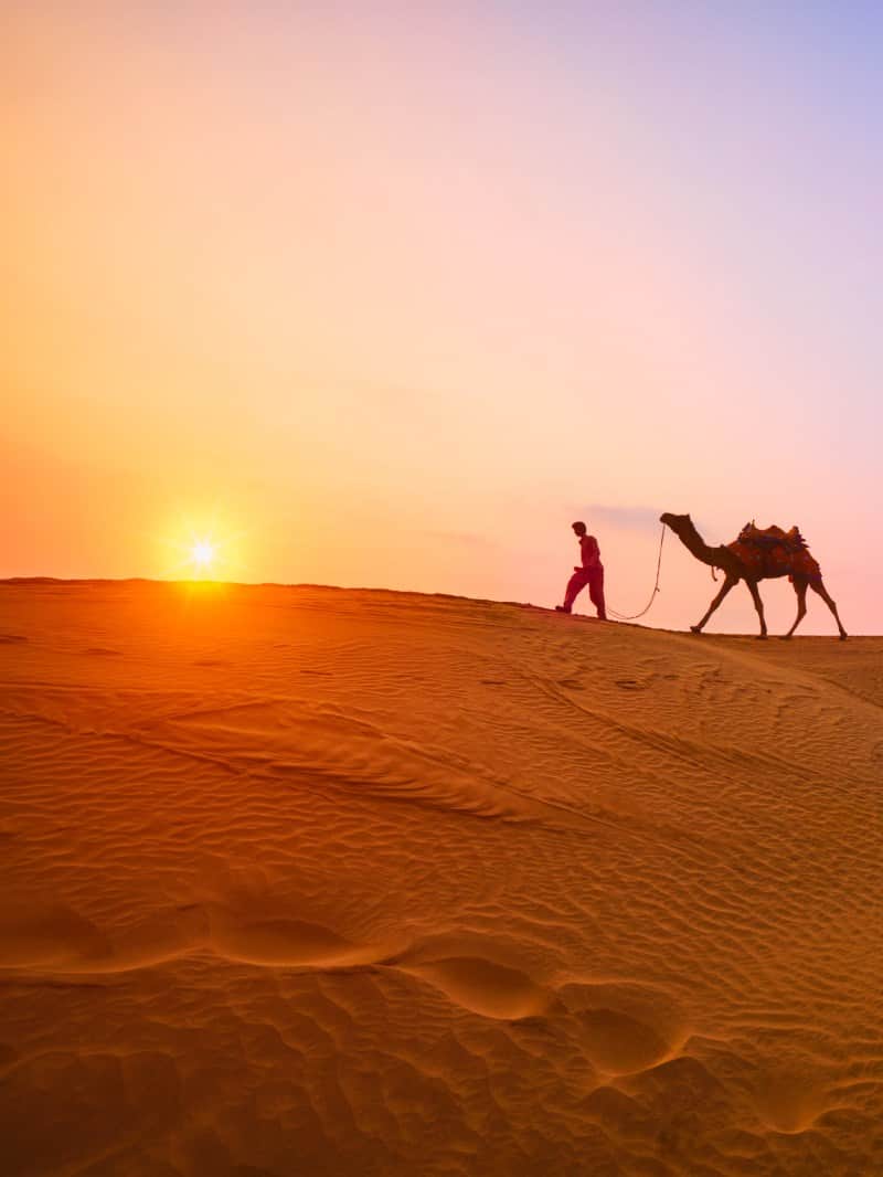 राजस्थान में भीषण गर्मी का कहर।