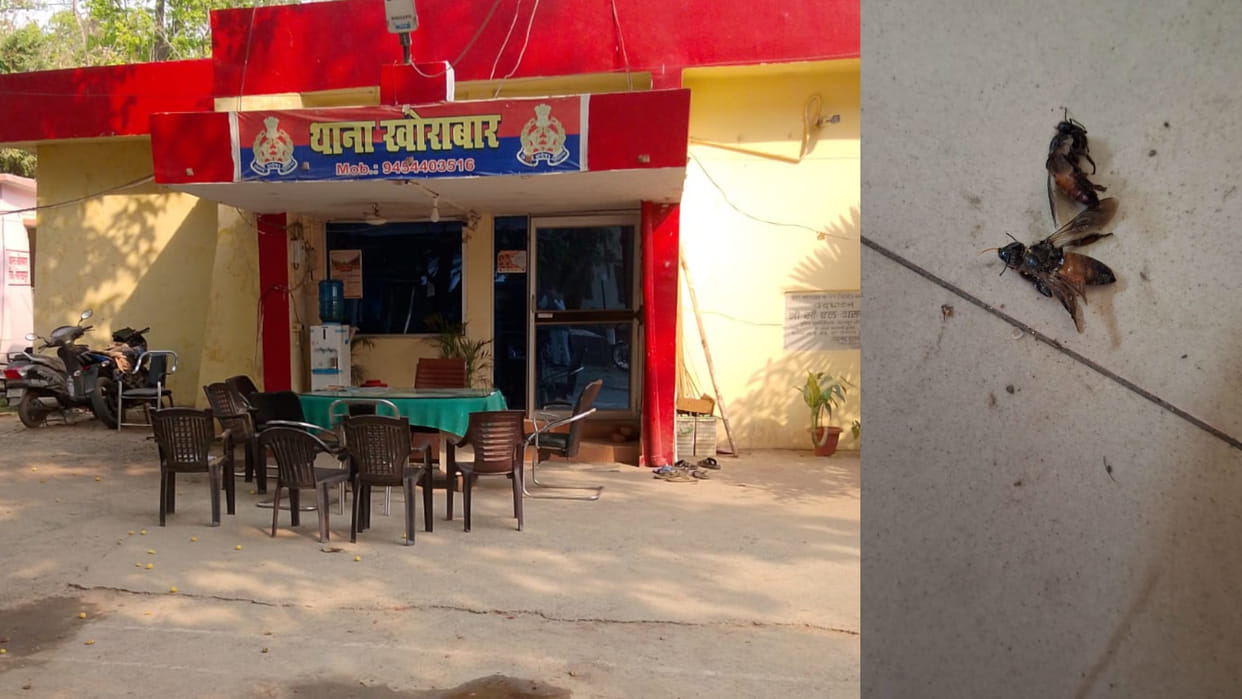 Husband, who had gone to police station following a complaint by his wife news in Gorakhpur