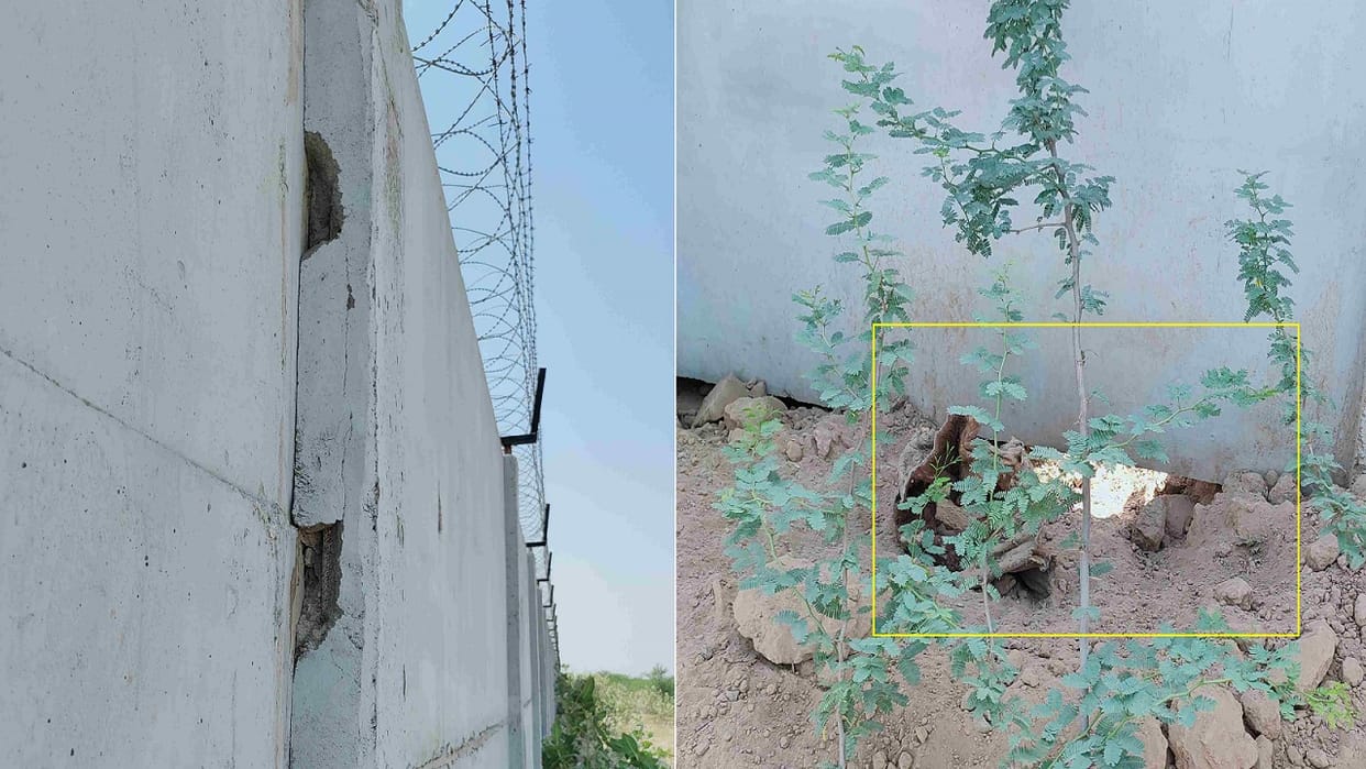 Amar Ujala investigation 25 paths under 8 KM boundary wall of Hisar airport, how animals stopped from entering