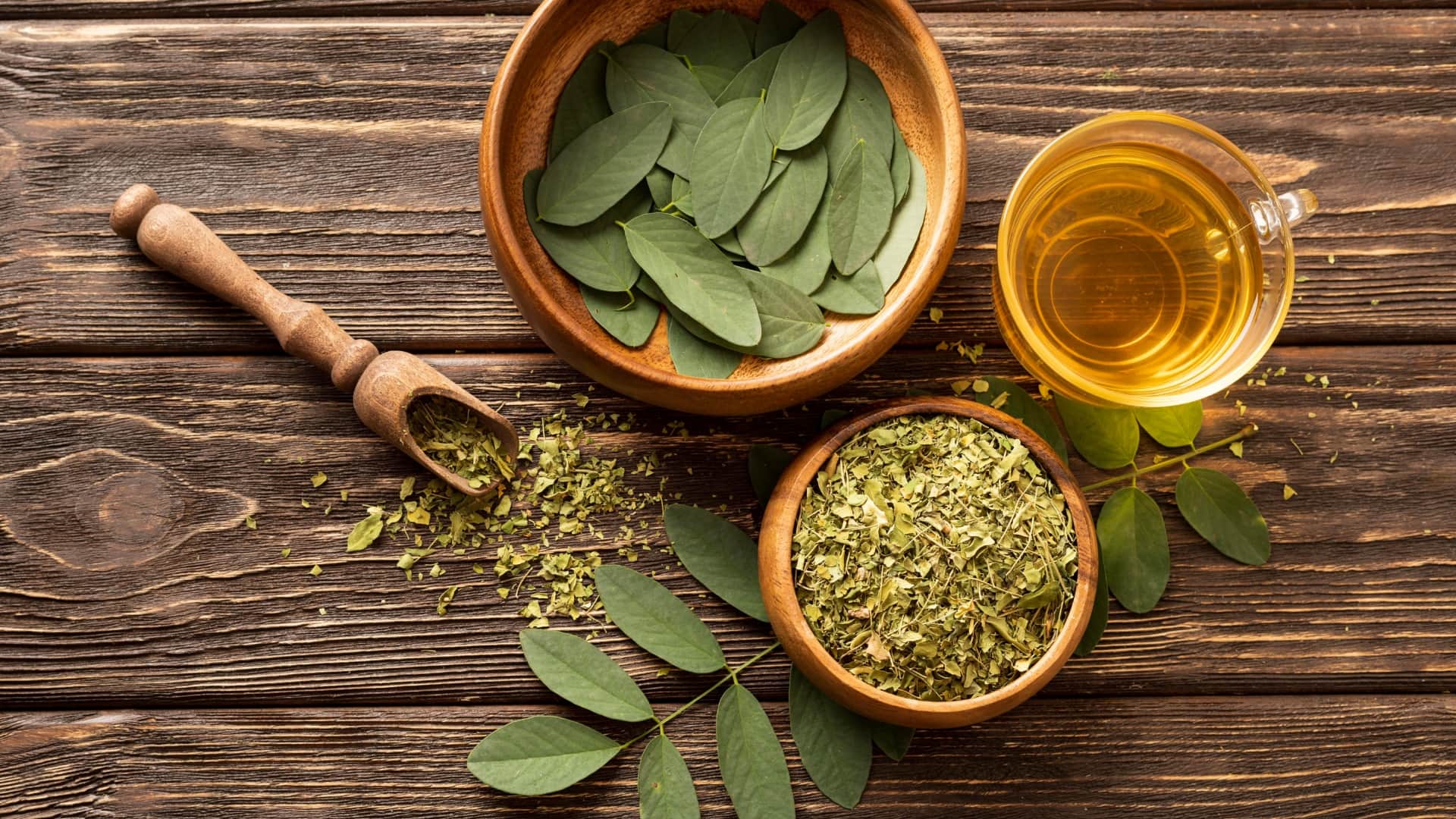 मोरिंगा