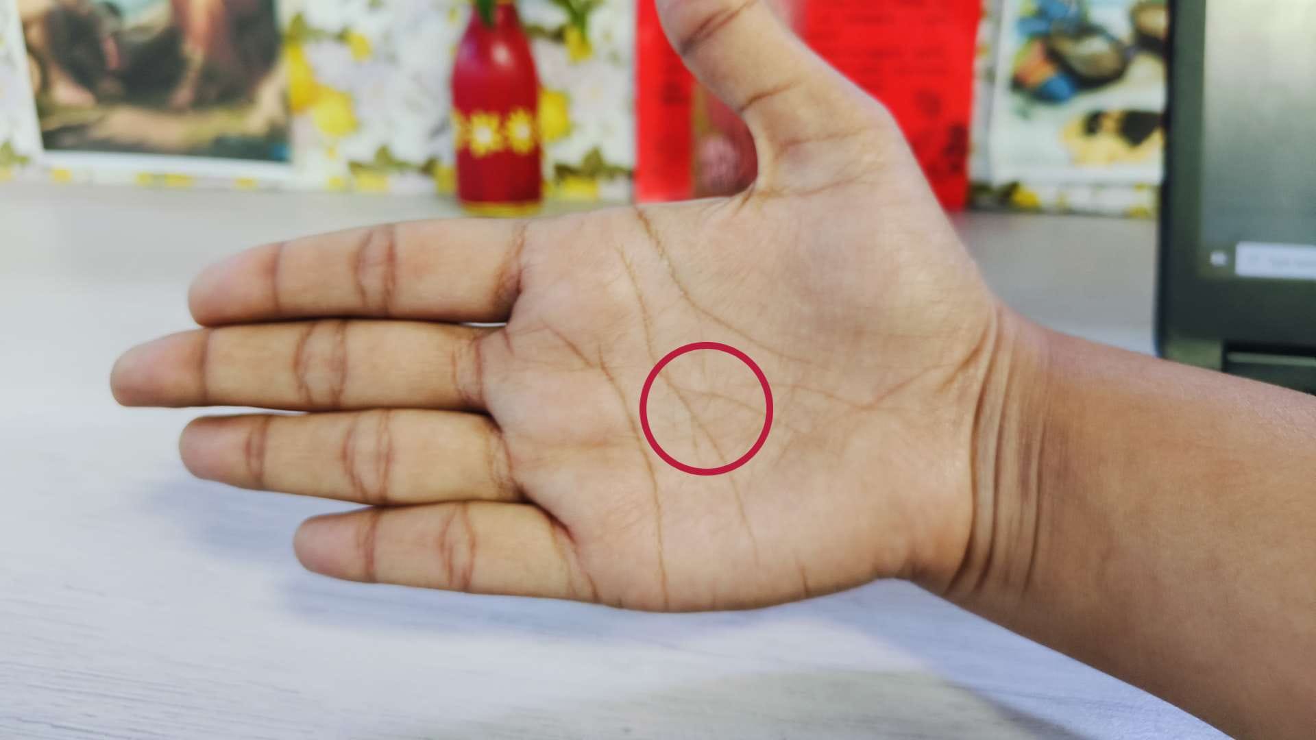 Signs on Your Palm Know from Your Palm Lines If You’ll Become Rich in the Future