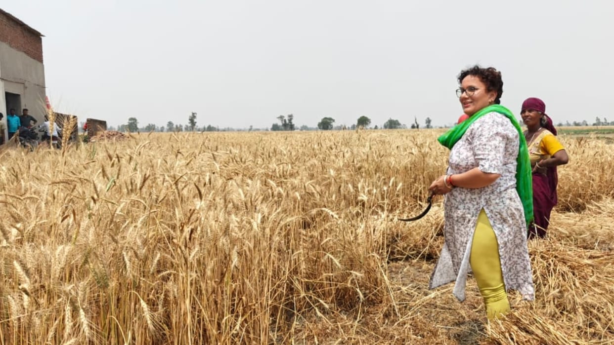 ADM Ritu Poonia harvested wheat crop with the farmers in Pilibhit