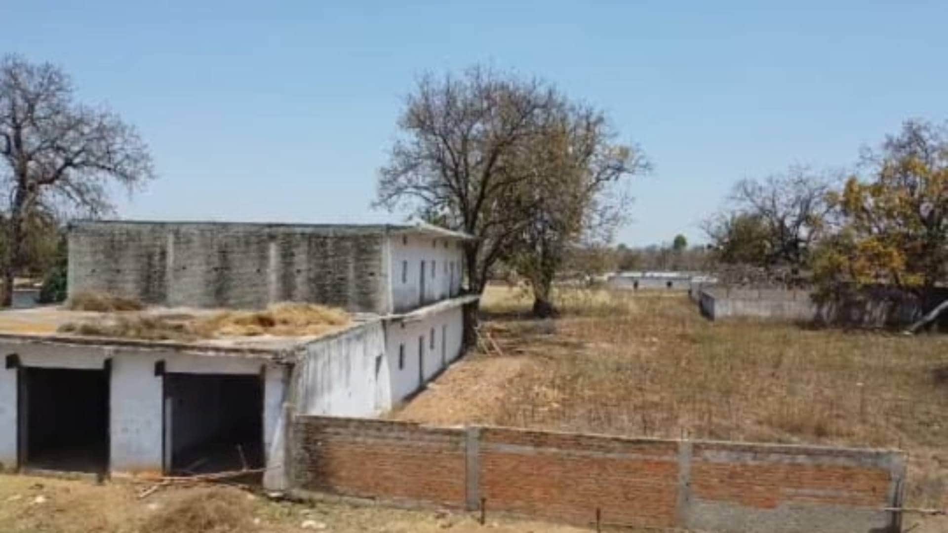 MP News village of six thousand houses was settled in Singrauli to loot government treasury