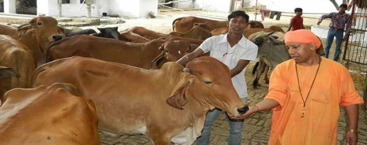 UP: If cattle are found hungry and sick, concerned officials will be punished, livestock officer gave strict w