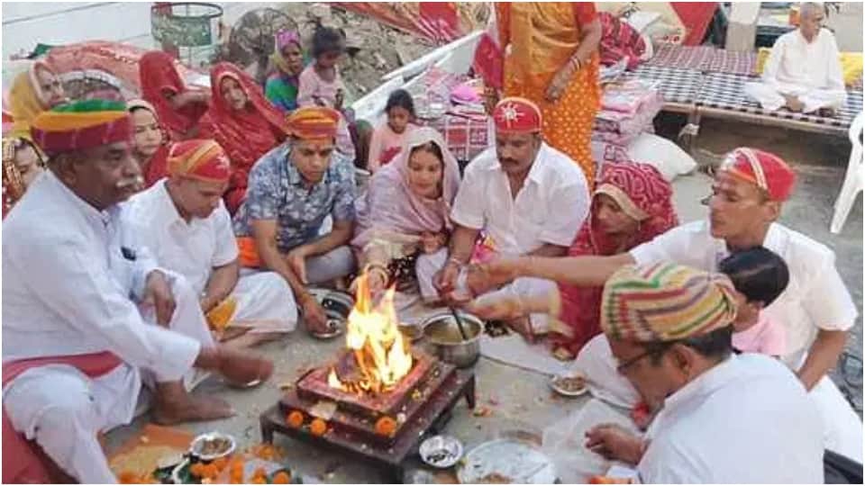 Unique Wedding of Banyan and Peepal trees Udaipur News in Hindi