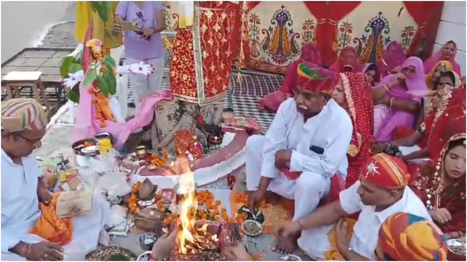 Unique Wedding of Banyan and Peepal trees Udaipur News in Hindi