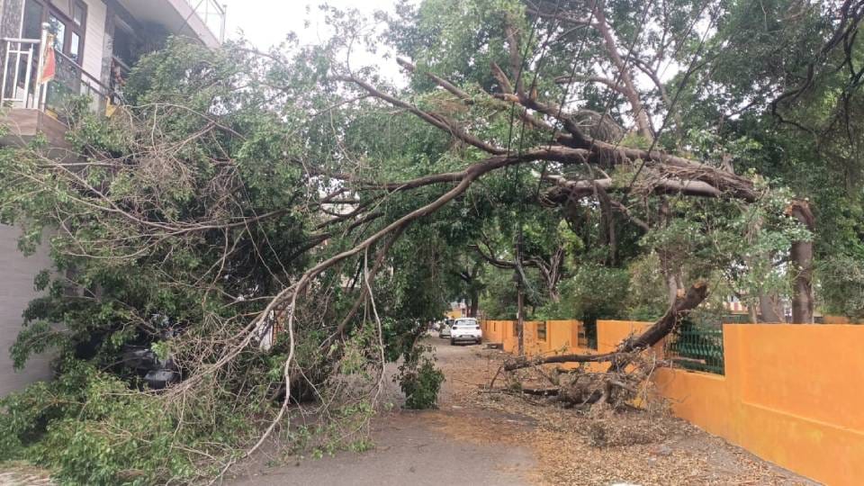 UP Weather News: Rain accompanied by thunder and lightning in UP damage to wheat two deaths due to lightning