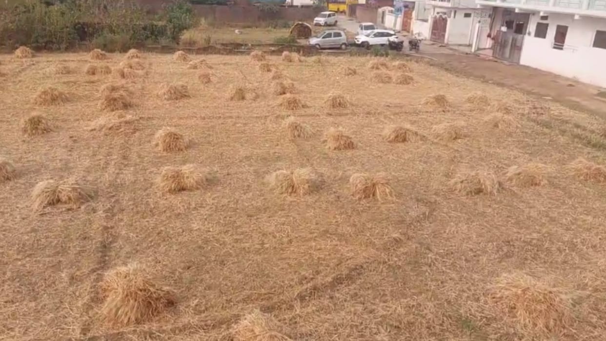 Farmers got hit by rain in Amethi.