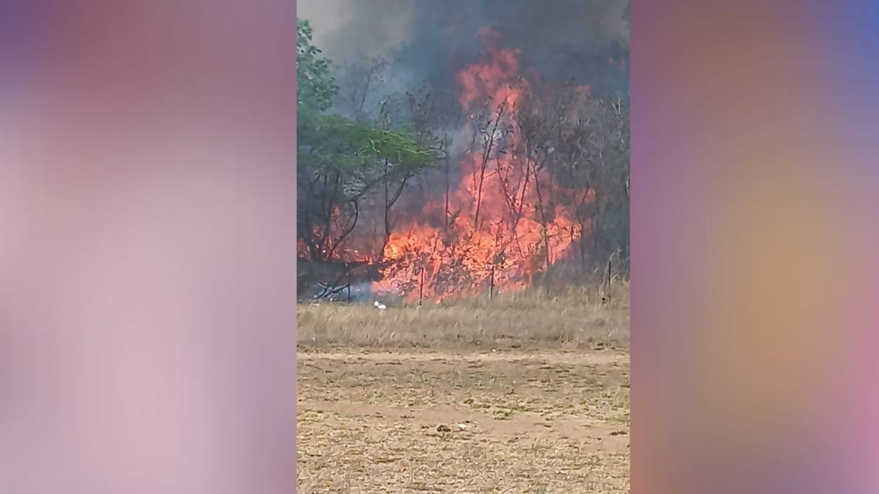 Massive Fire Breaks Out in Dry Grass at Maharana Pratap University, Udaipur
