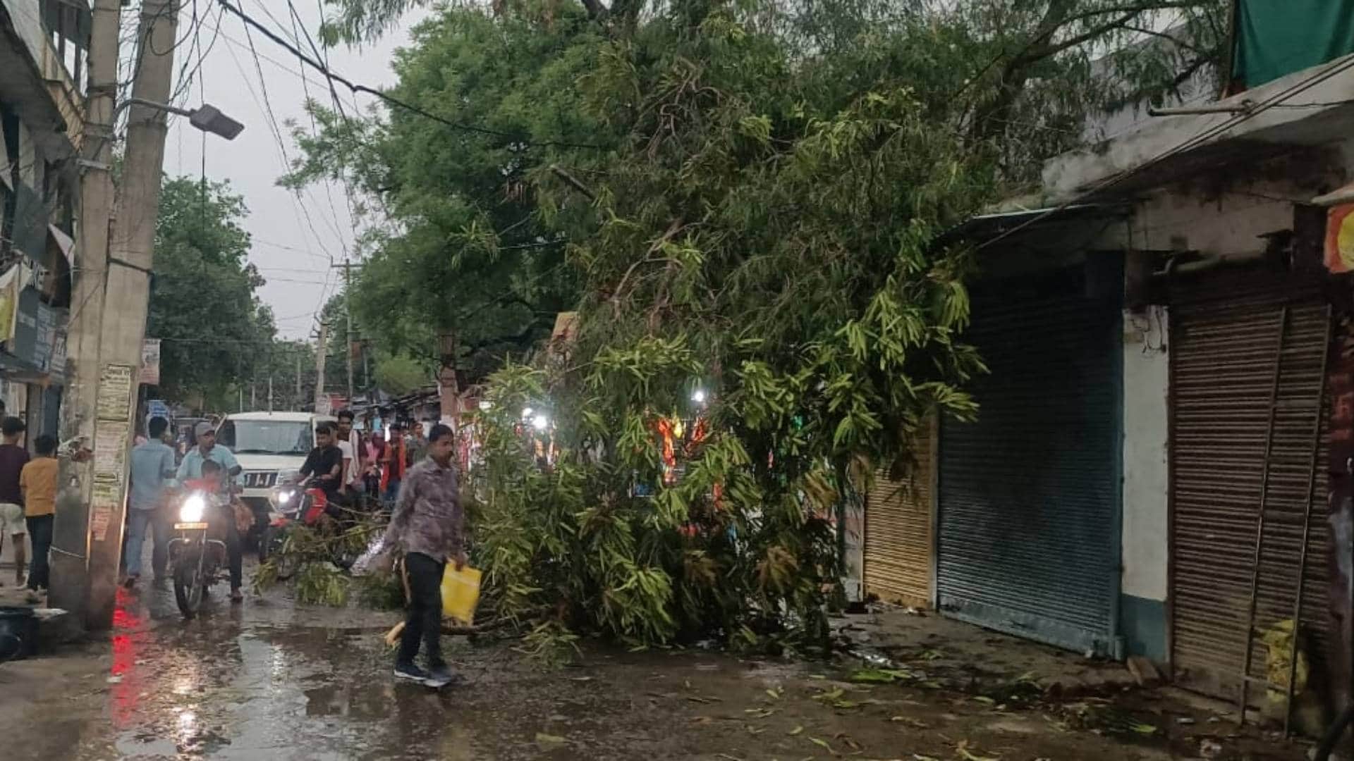 Rain wreaks havoc in Nawada Bihar Wheat crop submerged in water waterlogging in Sadar Hospital premises photos