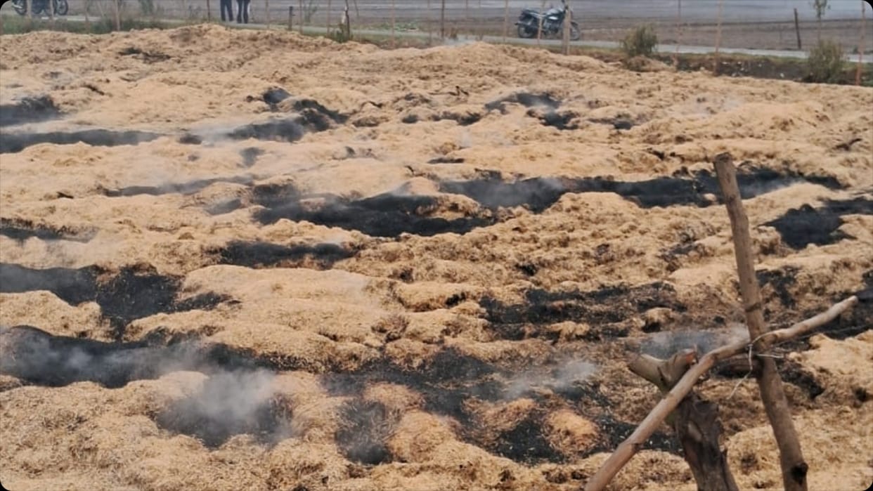 Fire broke out due to spark from transformer 20 acres of wheat crop burnt to ashes in Pilibhit