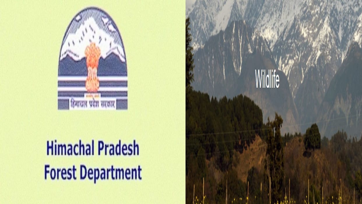 Himachal: Preparations to shift the headquarters of the forest department's wildlife wing from Shimla to Dhara