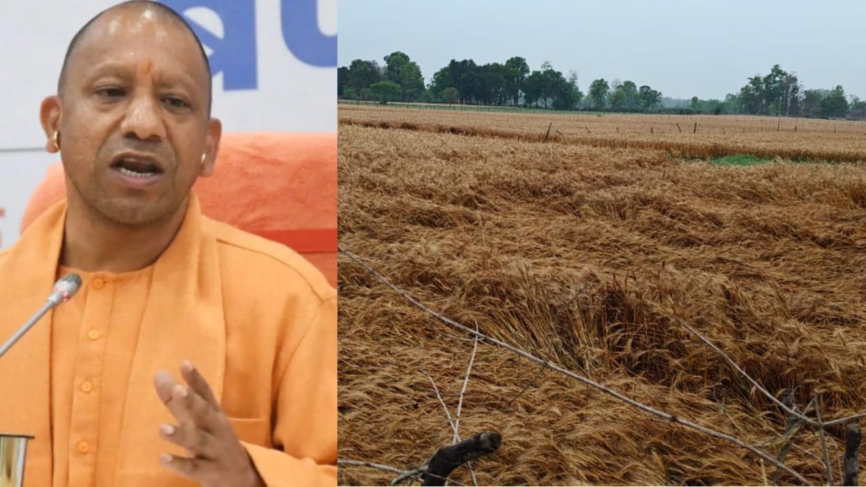 UP Weather Alert Storm Rain & Hail Lash State CM Yogi Orders DM Level Surveys and Relief Measures