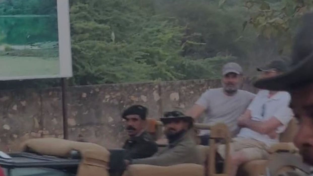 Sawai Madhopur: After the Congress session, Rahul Gandhi enjoyed the Ranthambore Tiger Safari