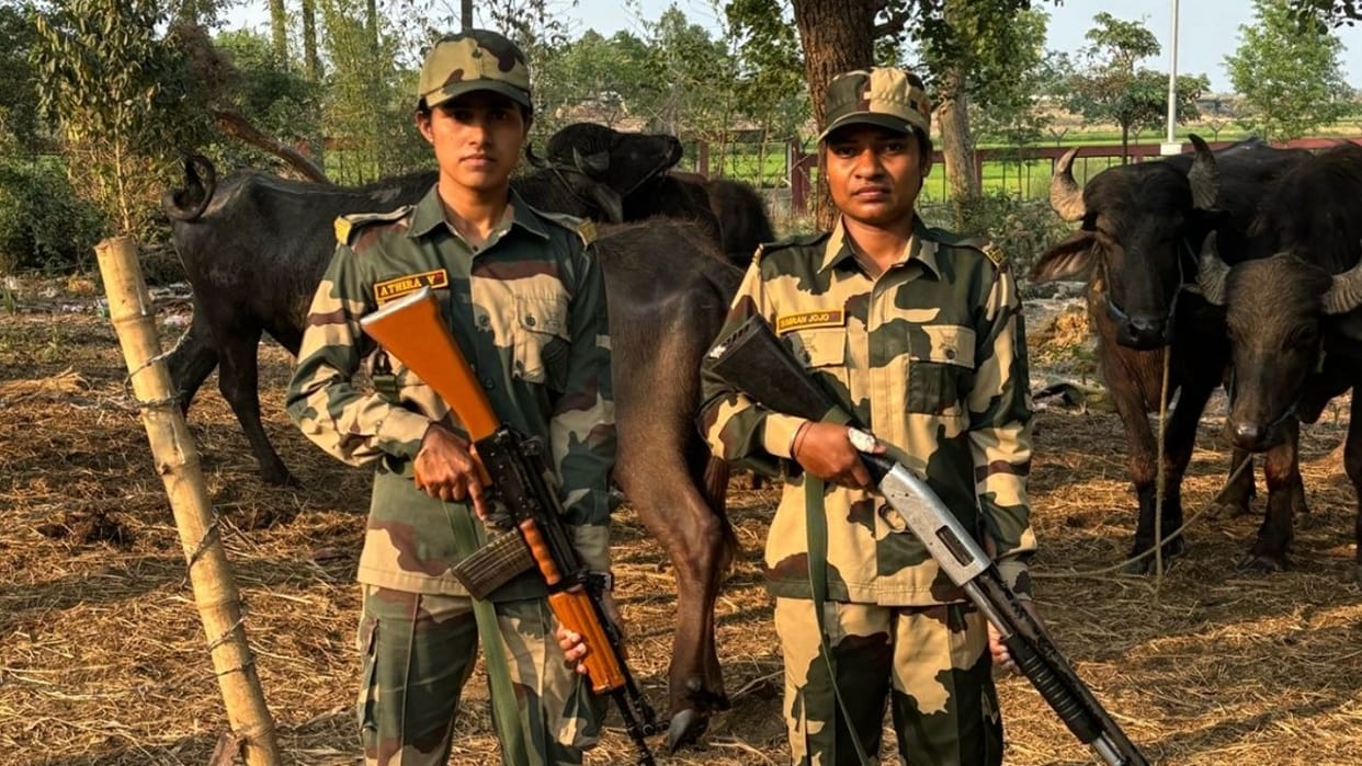 BSF rescued 19 cattle from smugglers on India Bangladesh international border