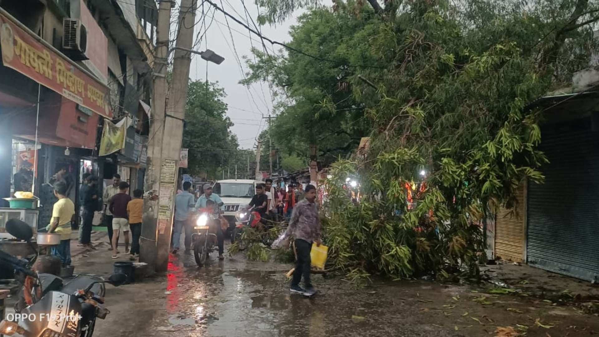 पेड़ गिरने से सड़क जाम।