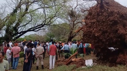 Bihar News : many people died storm and lightning alert Bihar Patna