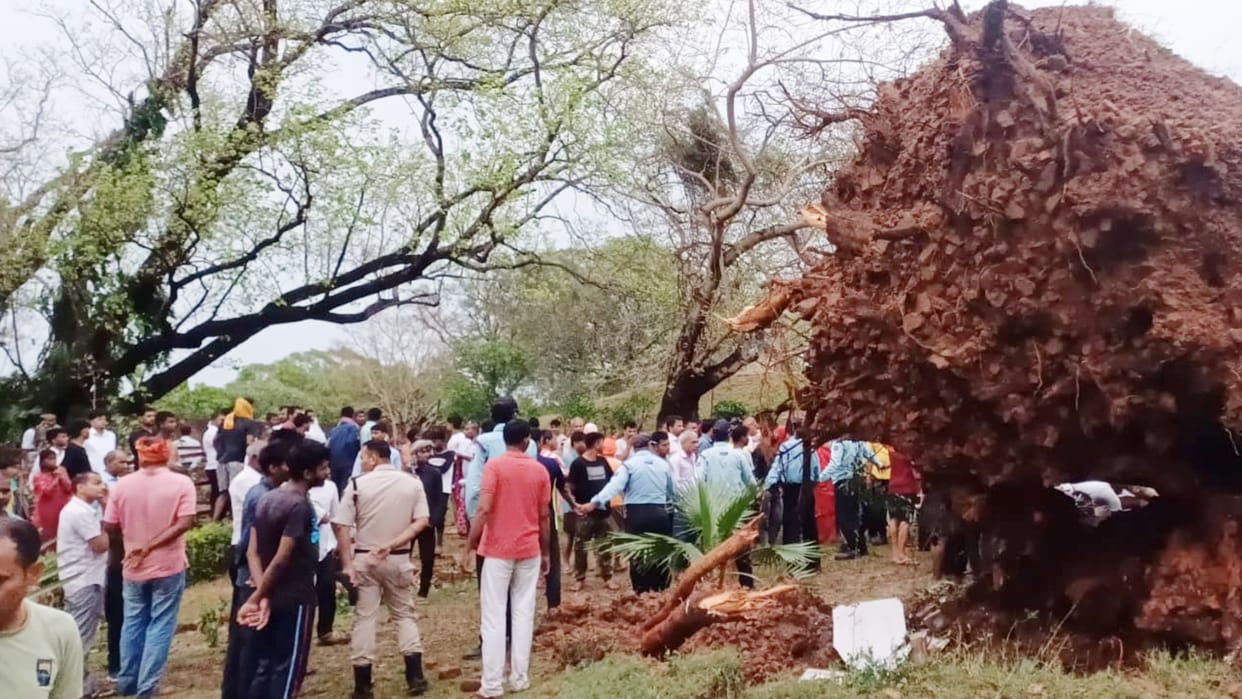 Bihar Weather: Many people died due to lightning and falling trees in Bihar: Rain, lightning alert, Patna